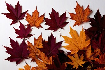 Obraz premium Vibrant Autumn Leaves in Maroon and Amber on a Bright White Background