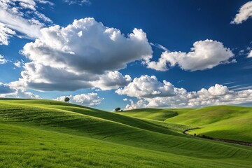 Obraz premium A rolling hill covered in emerald green grass under a bright blue sky with fluffy white clouds drifting lazily across it, countryside view, serene environment, rural scenery, clouds