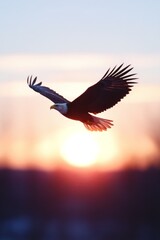 Obraz premium Eagle Flying High in the Sky at Sunrise with Majestic Wings Spreading Against a Bright Sun and Beautiful Background