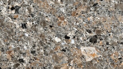 Close-up of a rough, textured surface with a mix of gray, brown, white, and black colors.