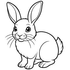 cute rabbit illustration