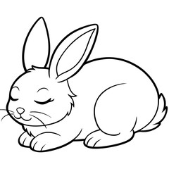 cute rabbit illustration