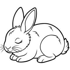 cute rabbit illustration