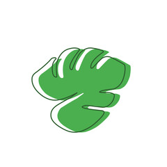 monstera leaf hand drawn outline