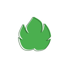 monstera leaf hand drawn outline