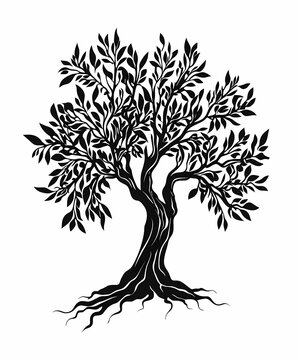 Black vector silhouette of an olive tree with leaves and roots, simple design for a tattoo or logo on a white background