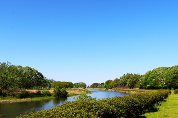 Fototapeta premium 青空と新緑と河川 爽やかな散策