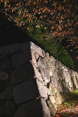 秋のお城のライトアップ