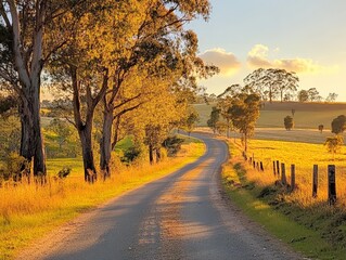 Naklejka premium A peaceful country road lined with trees, bathed in the warm golden light of sunset.