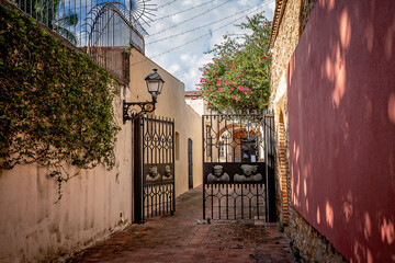 Narrow street in the Colonial Zone, Santo Domingo, Dominican Republic. Scenic view of sunny flowering street with medieval architecture, old colonial city