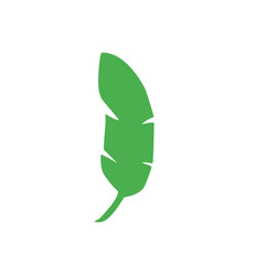 green banana leaf vector
