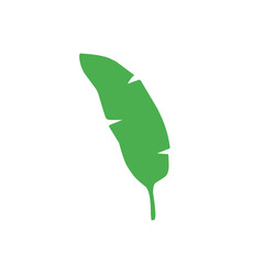 green banana leaf vector