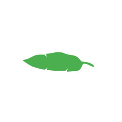 green banana leaf vector
