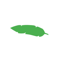 green banana leaf vector