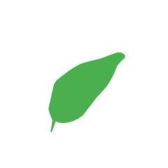 green banana leaf vector