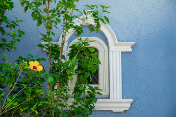 Blue wall in the garden