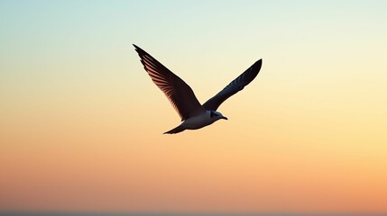 Fototapeta premium Freedom liberty and unrestricted, A bird gracefully soars against a colorful sunset sky, showcasing its wings in a tranquil and serene atmosphere.