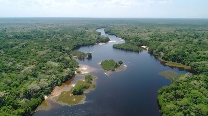 Fototapeta premium Stunning aerial view of a lush verdant tropical rainforest with a winding river cascading into a series of picturesque waterfalls