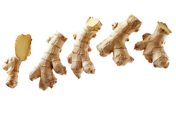 ginger flying on transparent background