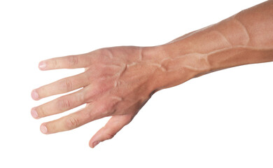 Man with bulging veins on his arm against white background, closeup