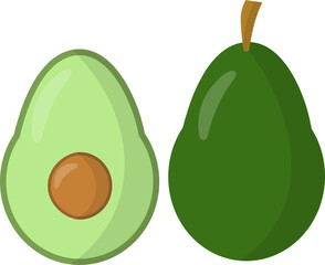 illustration of avocado fruit with white background