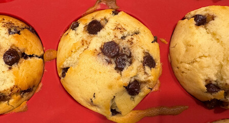 Chocolate chip muffin in red baking tray