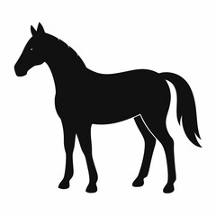 horse silhouette vector