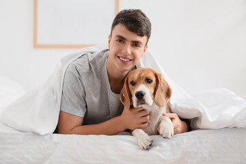 Young man in bed hugging adorable Beagle dog at home