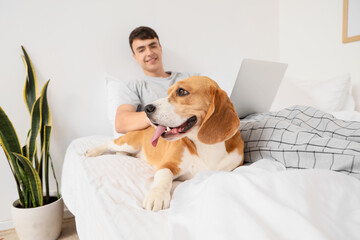 Young man lying on bed with cute Beagle dog at home