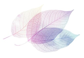 Delicate translucent leaves in soft pastel colors, creating a serene and calming atmosphere. Nature and tranquility concept.