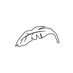 banana leaf outline art