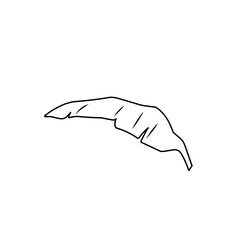 banana leaf outline art