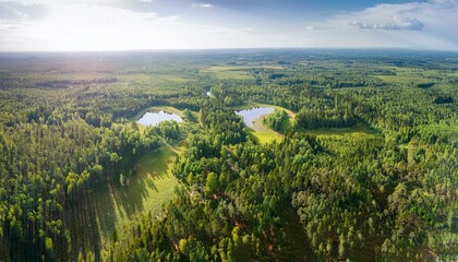 The sound of leaves rustles in the gentle breeze.  
