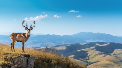 Fototapeta premium Something went wrong If this issue persists please contact us through our help center at helpopenaicom