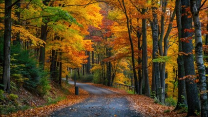 Fototapeta premium Serene Autumn Pathway in a Colorful Forest