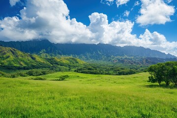 Obraz premium Lush green hills with mountains in the background and blue sky, scenic landscape