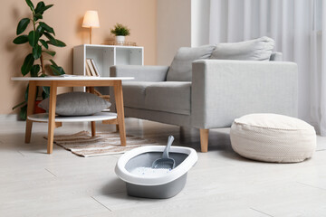 Scoop and plastic litter box for cat on floor in living room