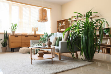 Stylish interior of room with green houseplants and sofa