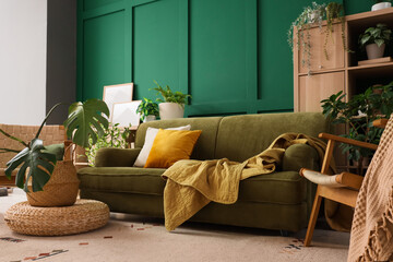 Sofa with plaid, cushion and houseplants in modern interior of living room