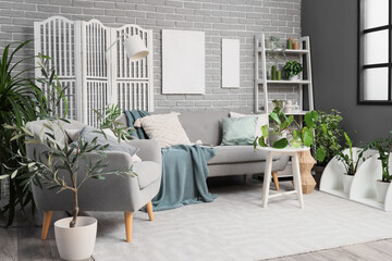 Interior of living room with grey sofa, armchair and green plants
