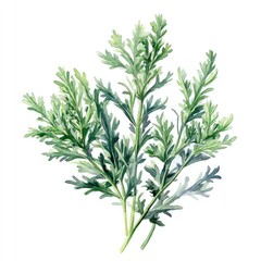 Obraz premium Wormwoos Plant Leaf, Generative AI