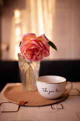 Still life a white cup of coffee or tea and a pink big bud of rose in a glass vase on a white table on kitchen. Sunset light on the wall