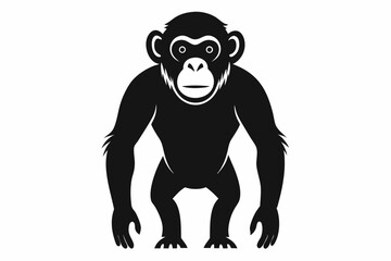 chimpanzee silhouette vector for white background illustration 