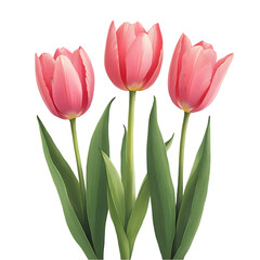 Elegant Pink Tulips in Bloom Garden Setting Floral Photography Bright Natural Light Close-Up Perspective Beauty of Nature