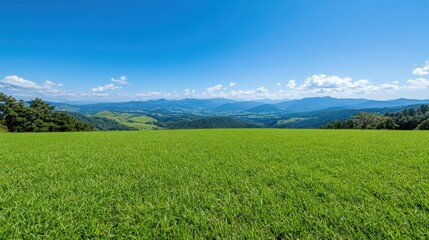 Fototapeta premium A large, open field with a clear blue sky