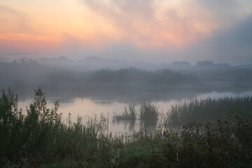 The valley of the Sorot River near the Mikhailovskoye Estate of the Pushkin Museum-Reserve at dawn on a foggy summer morning, Pushkinskiye Gory, Pskov Oblast, Russia