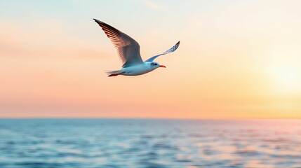 Fototapeta premium freedom movement and authentic, A serene seagull flies gracefully over calm waters at sunset, capturing the essence of nature's tranquility.