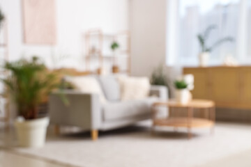 Blurred view of light living room with grey sofa, drawers and plants