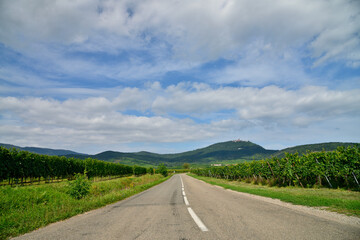 Château du Haut-Kœnigsbourg　France / 葡萄畑からオー・ケニグスブール城に続く道路　フランス