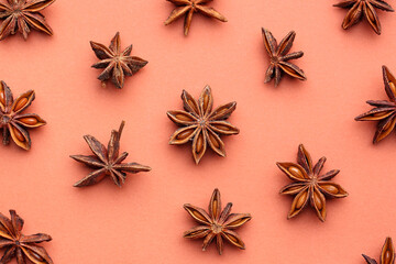 Composition with aromatic star anise on color background